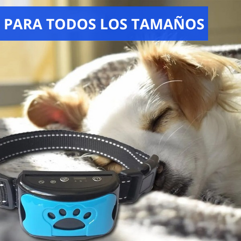 PetLove - Collar antiladrido indoloro