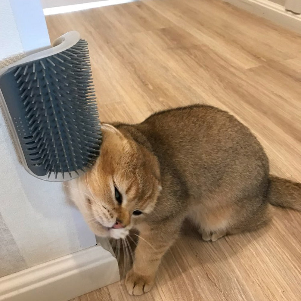 Cepillo para masaje de gatos